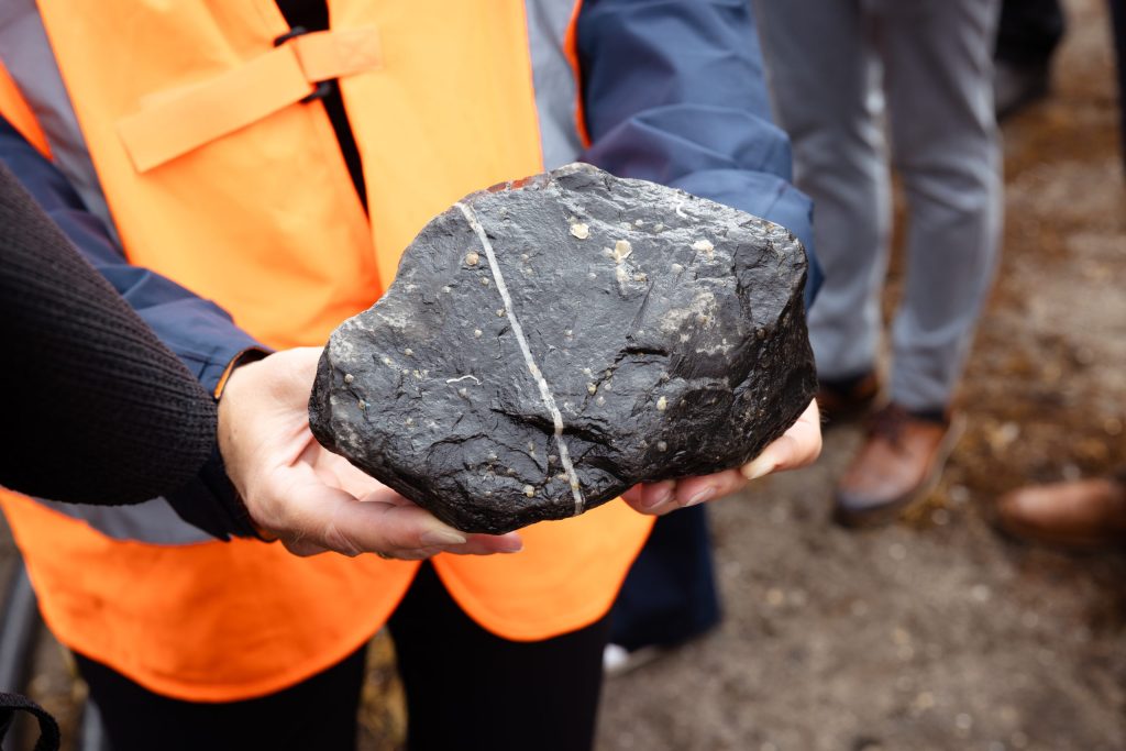Foto van steen met jonge oesters