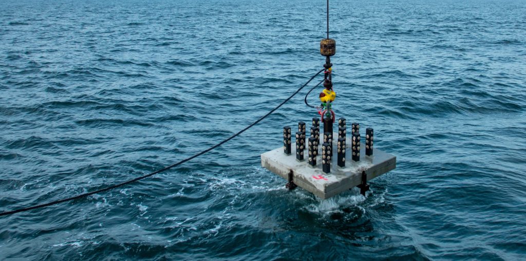 Foto van oester structure